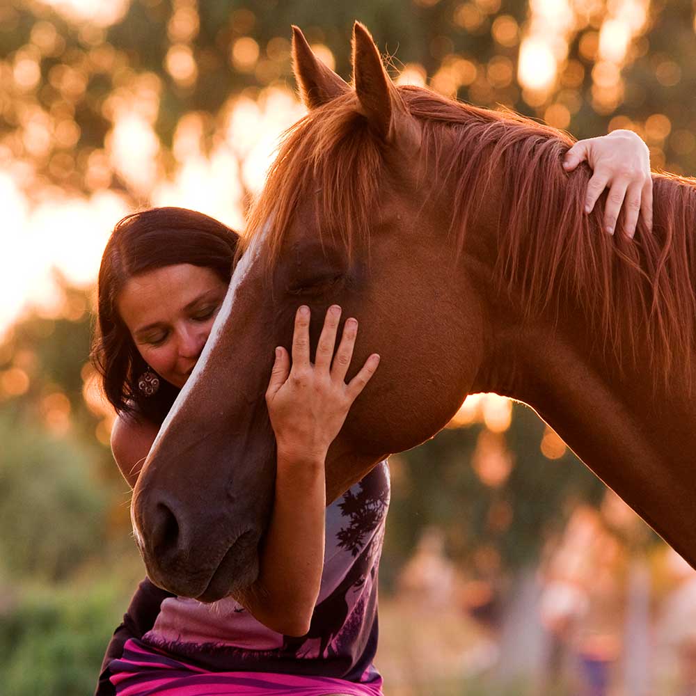 Woman hugging a brown horse at sunset